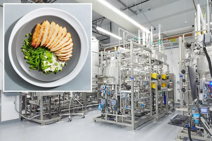 Entramos oficialmente en la era de la producción de carne ‘cultivada’