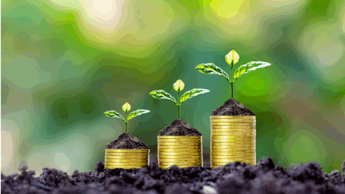 Seed-Funding