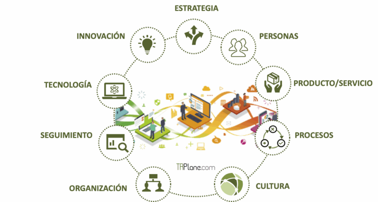 Dimensiones de la Transformación