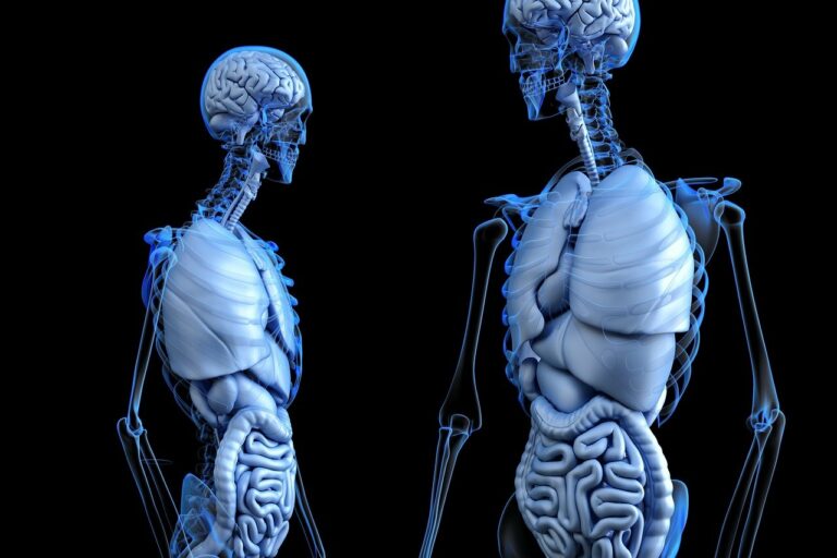 Strive Health obtiene $ 166 millones para brindar atención renal de extremo a extremo