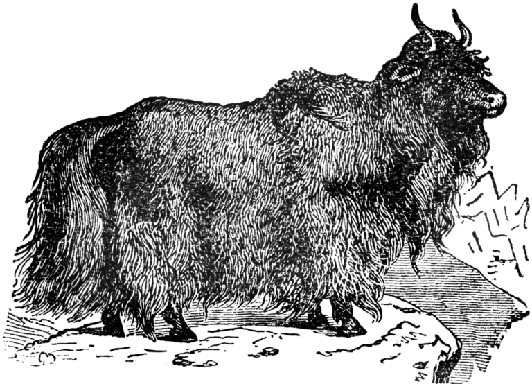 YaK (Yet another KPI)